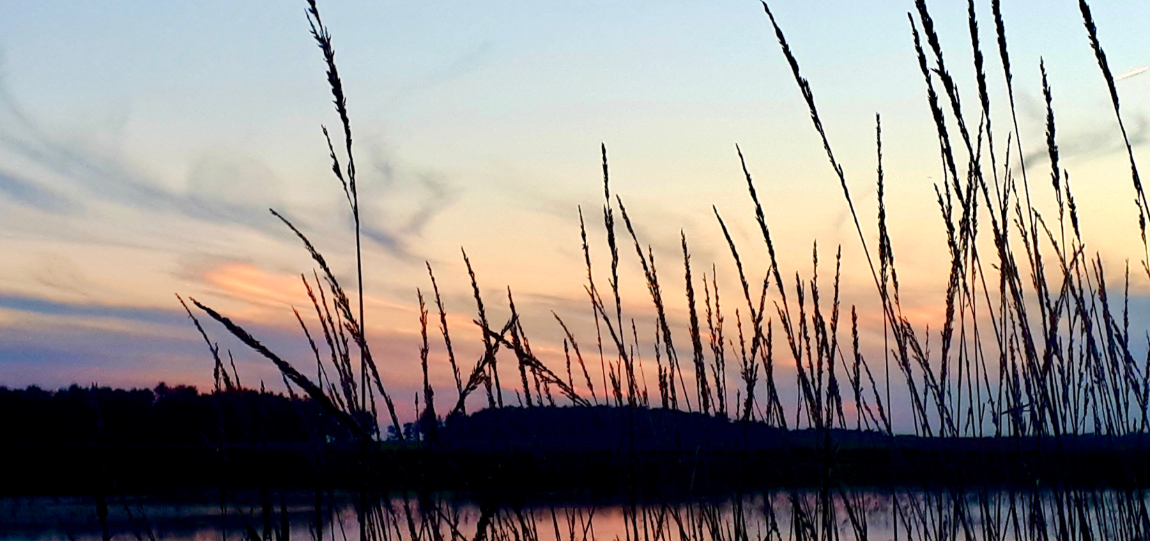 Pond in Malahide