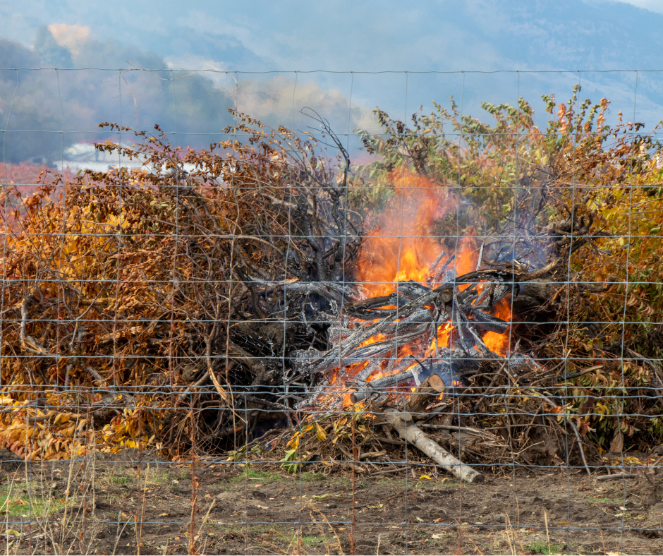 Open Air Burning