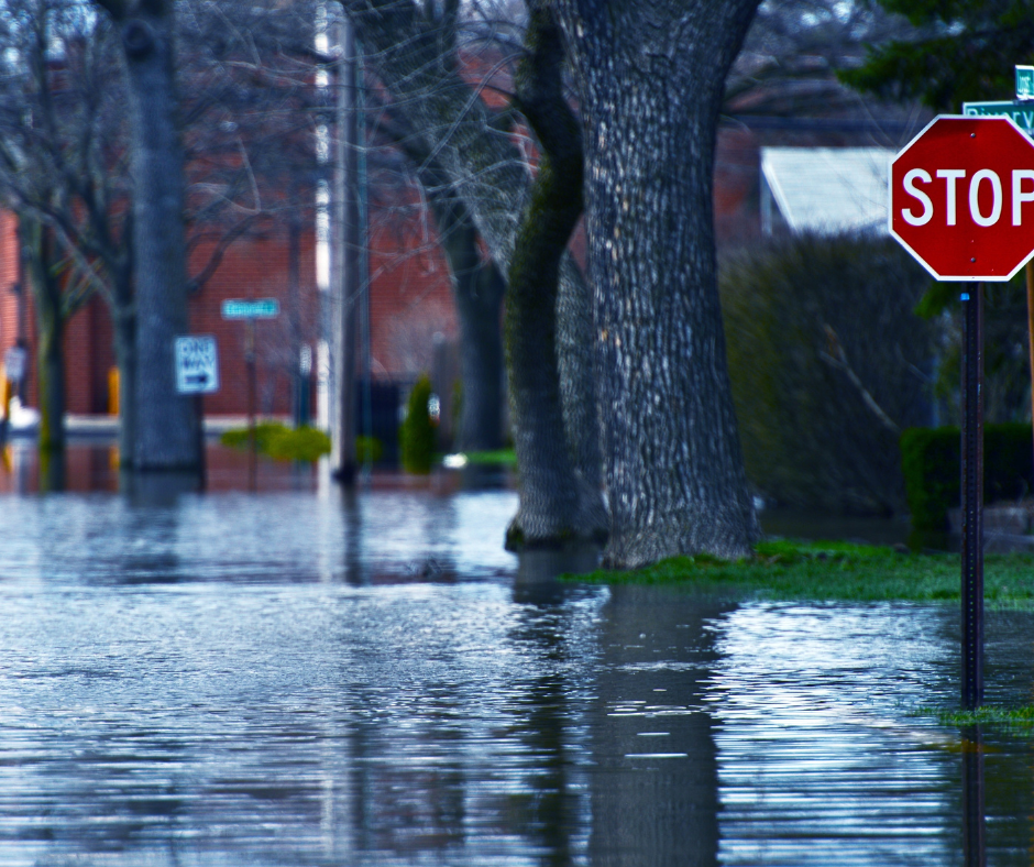 Flood Planning