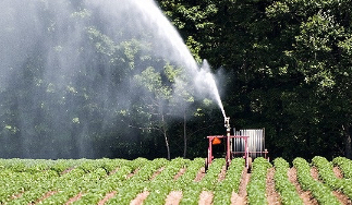 watering crops